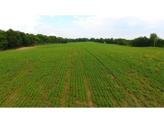 TRACT 57 - ILLINOIS LAND AUCTION - 4,810+/- ACRES OFFERED IN 85 TRACTS IN FRANKLIN, WILLIAMSON, HAMILTON & SALINE COUNTIES, ILLINOIS